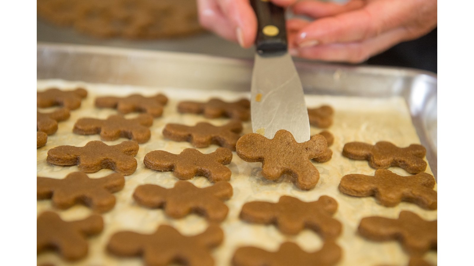 Atelier littéraire et gourmand à la Maison Pain d’Épices de St-Jean-de-Matha
