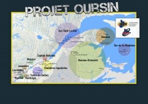 Plus d'une trentaine d'arrestations dans le cadre du projet Oursin