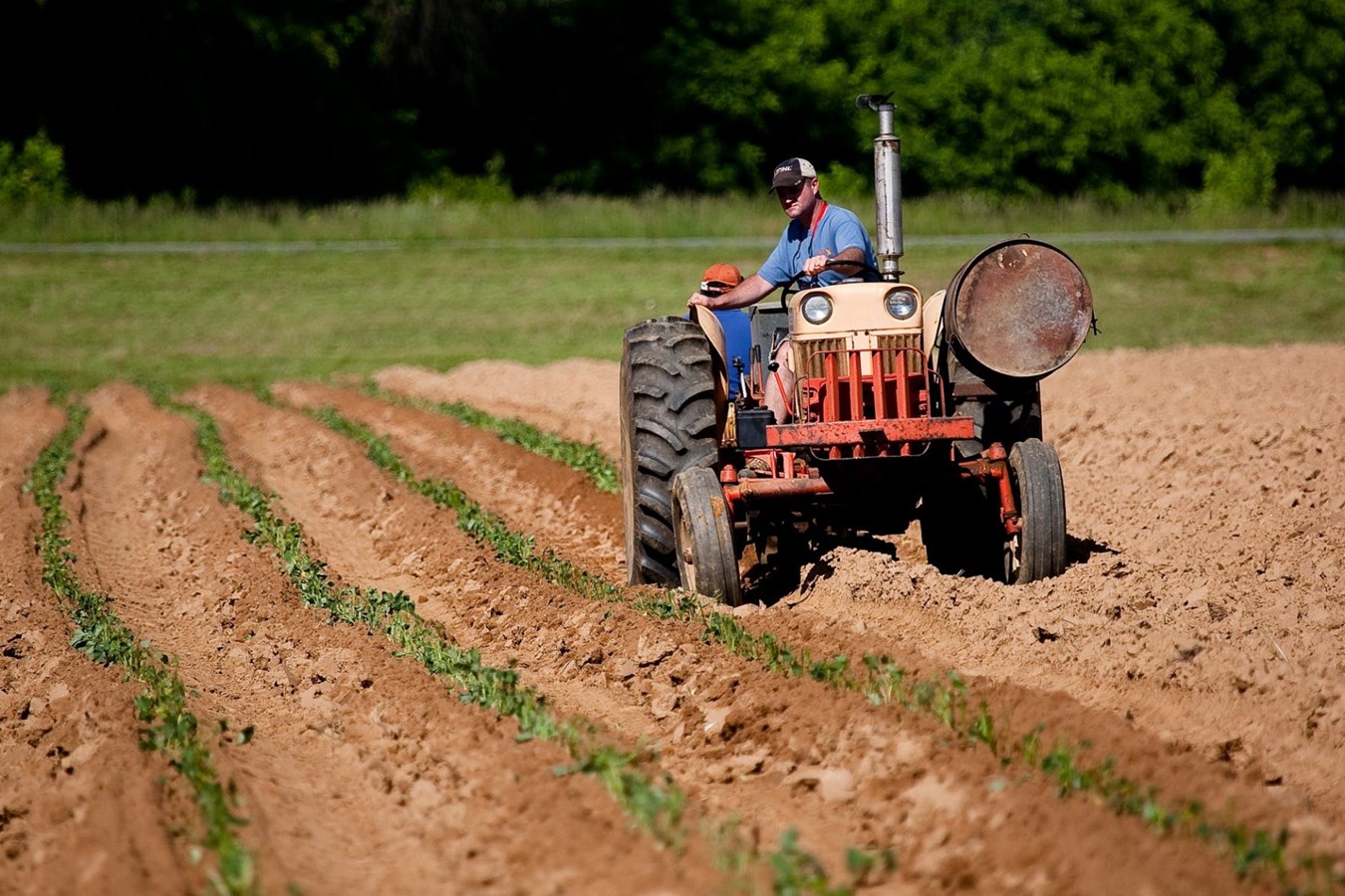 62 873 $ pour favoriser le contact entre les jeunes de Lanaudière et l’agriculture
