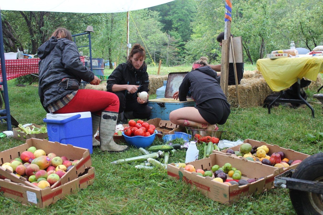 Bénévoles à la cuisine lors du festival d'Éducation Libre 2018.Photo: Jessica Lambert M.