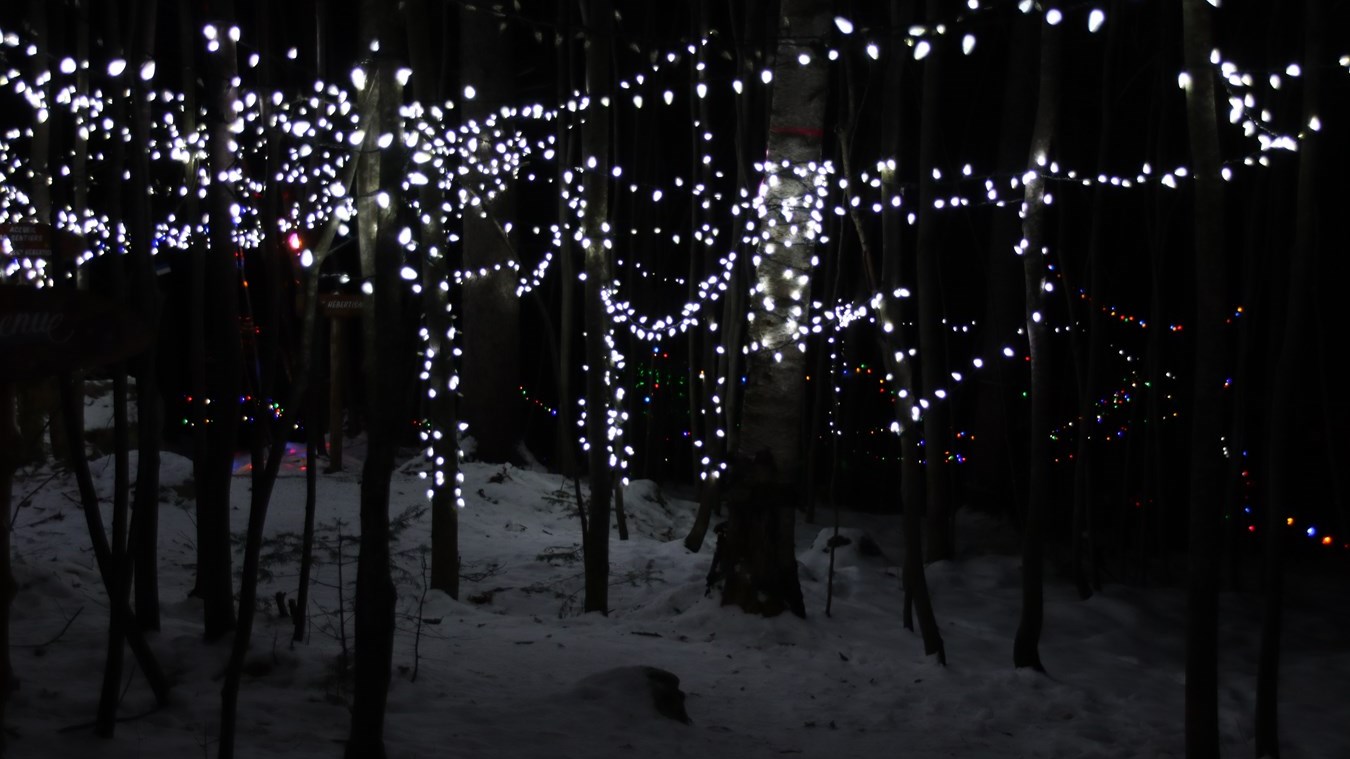 Une fête de noël féérique à l'école Marie-Anne de Rawdon