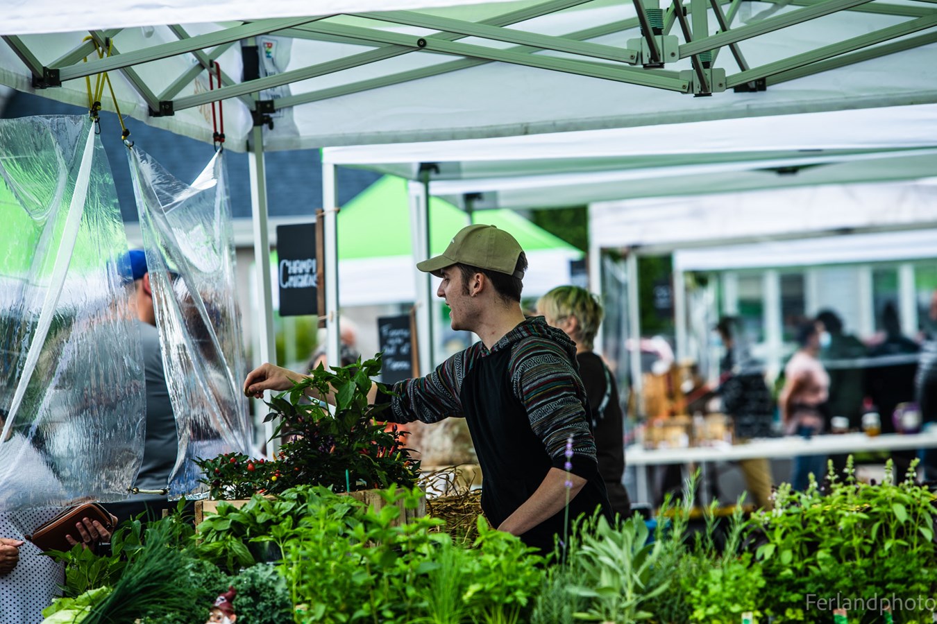 Une dernière visite des marchés publics de la région s’impose 