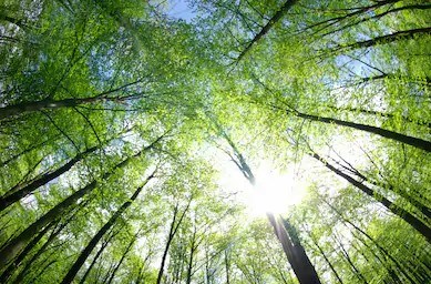 Rassemblements à Lanaudière dans le cadre de la COP26