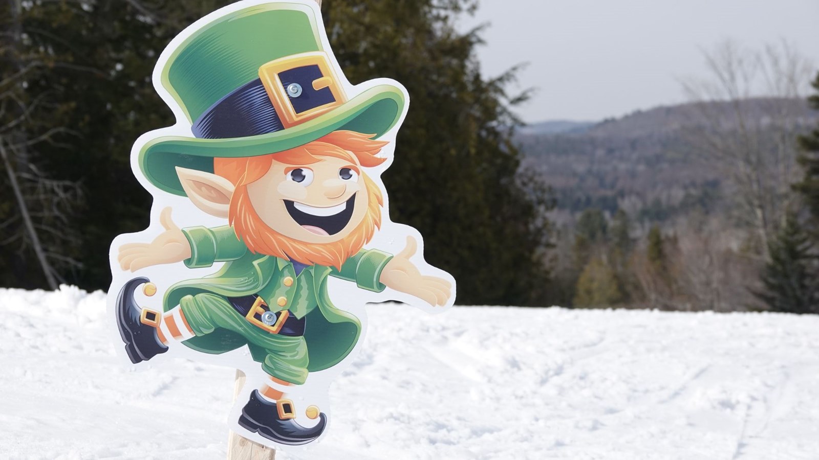 Des milliers de participants au Festival Saint-Patrick de Rawdon
