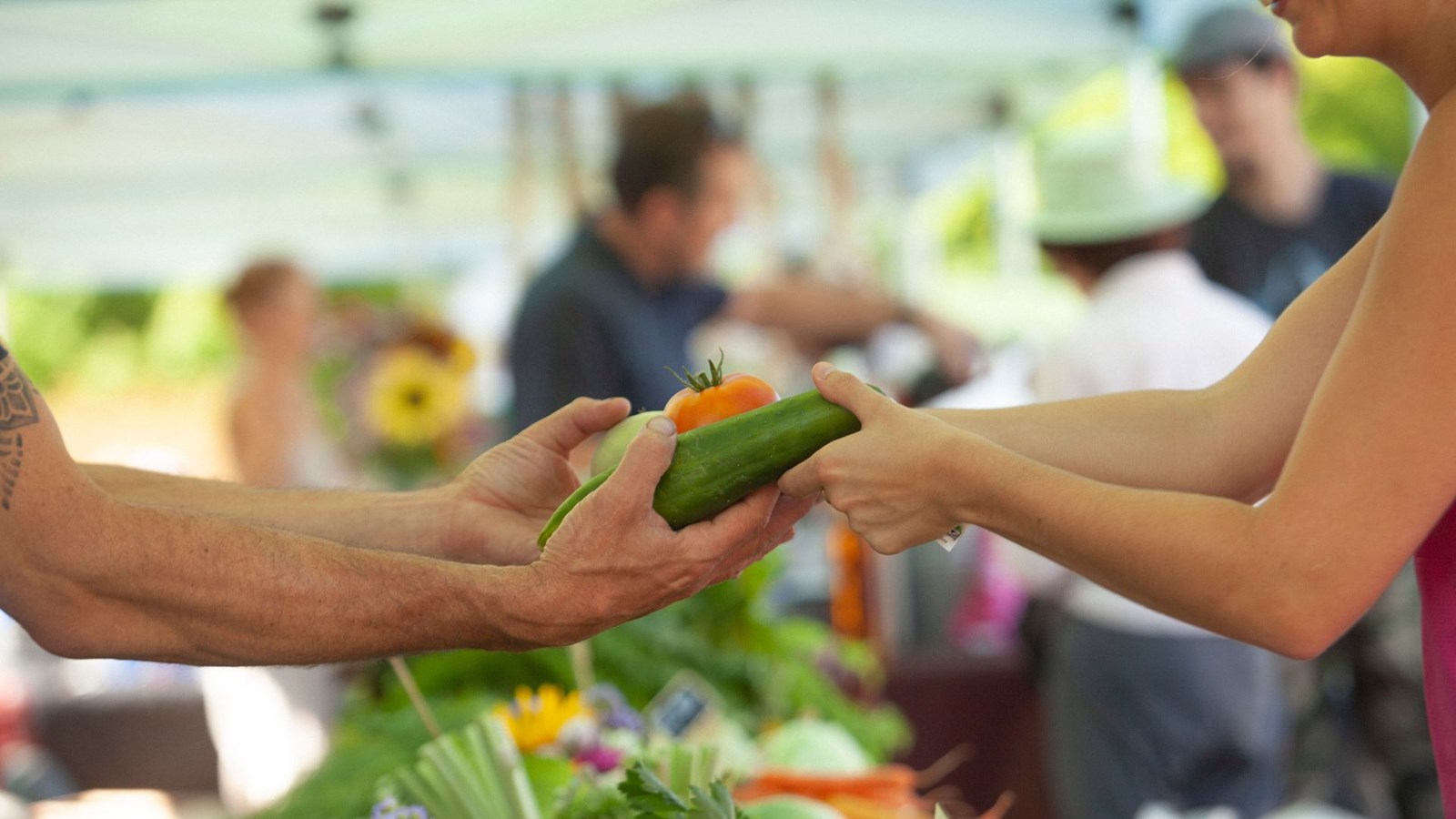 Le Marché public La Récolte s’installe à Rawdon