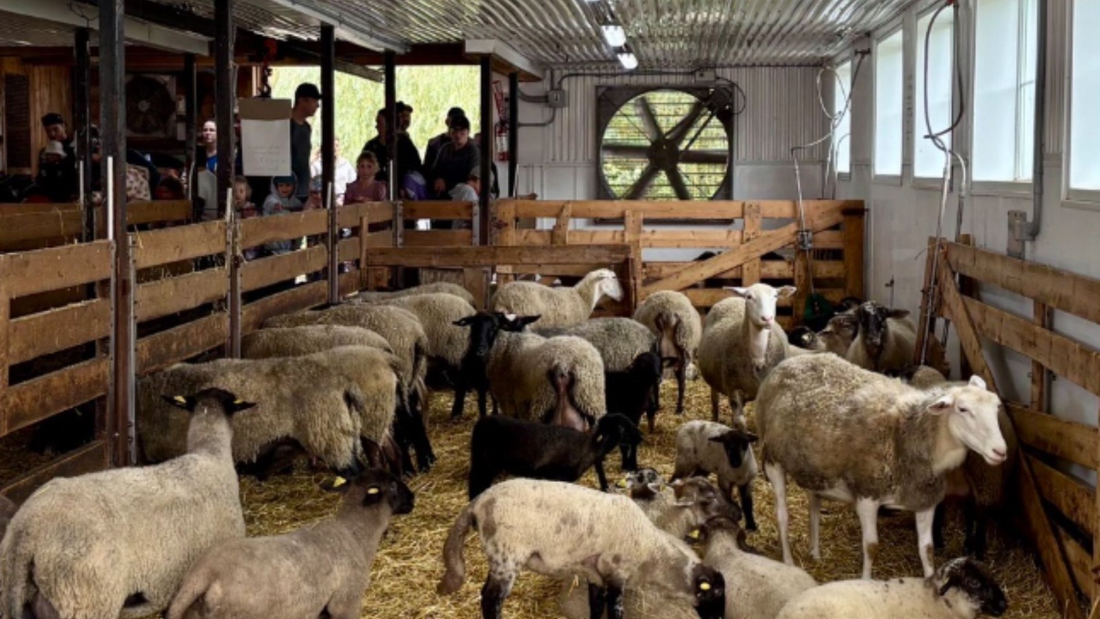 Journée Portes ouvertes Mangeons local : 14 400 visiteurs pour Lanaudière
