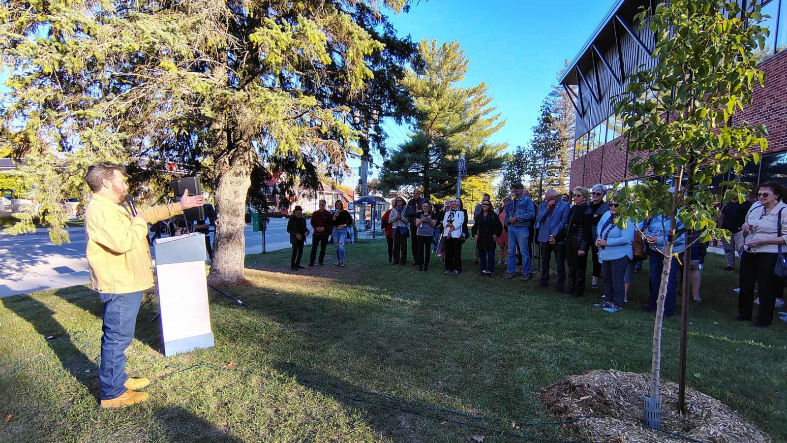 Le Collège Champagneur rend hommage à son pin blanc centenaire
