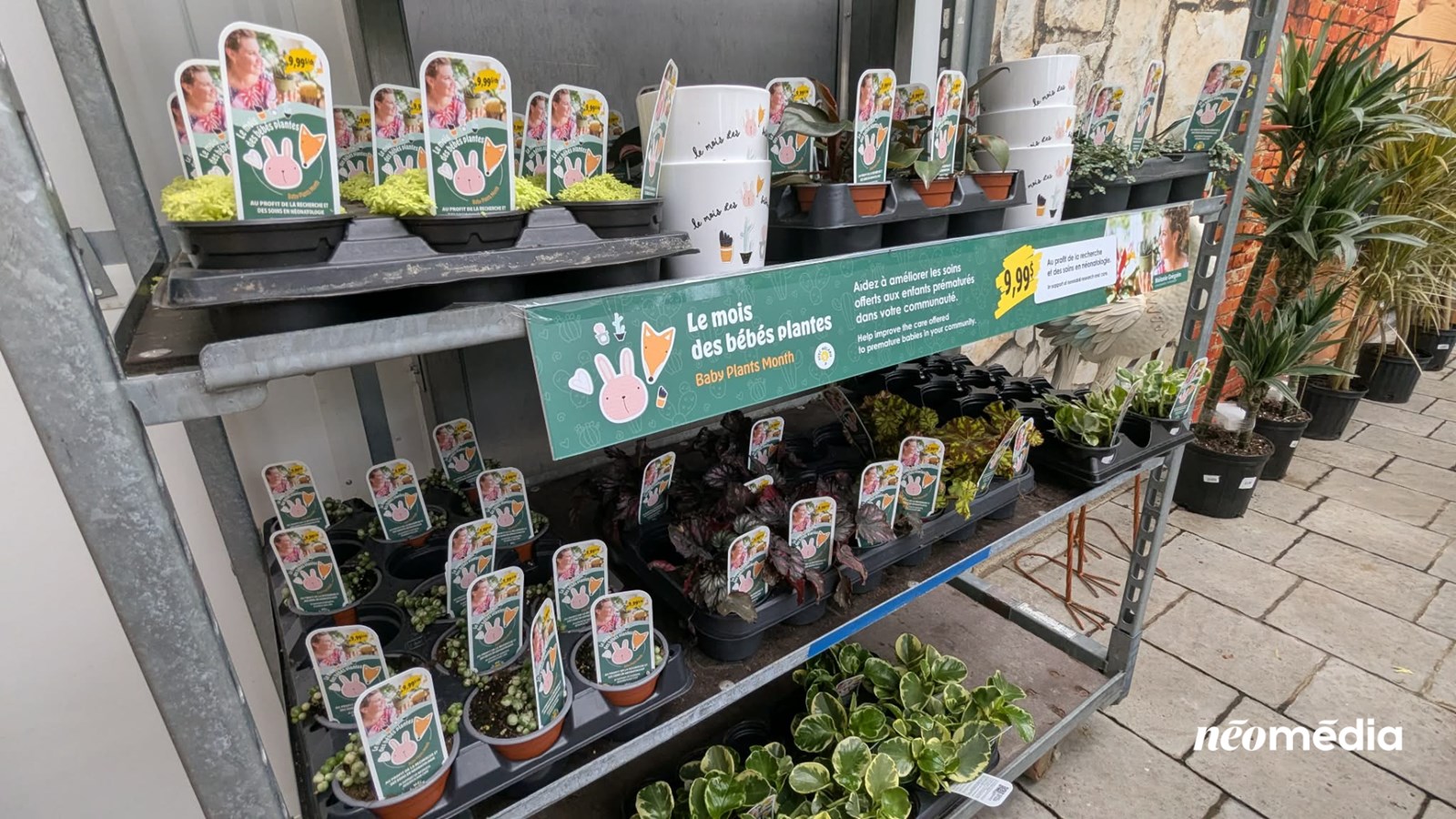 Plus de 14 000 $ amassés lors du mois des bébés plantes