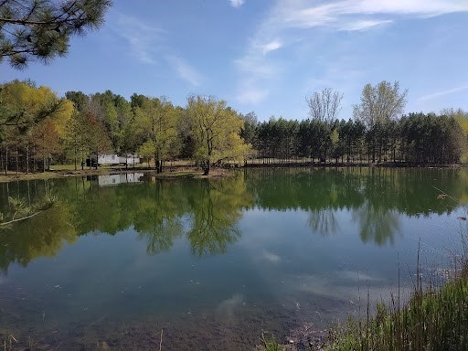 paysage