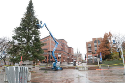 Sapin de Noël : le propriétaire de la Sapinière de la Mauricie n'a pas été invité à soumissionner