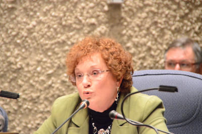 Budget 2012: tumulte au conseil