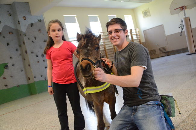 Mathéo le cheval aidant