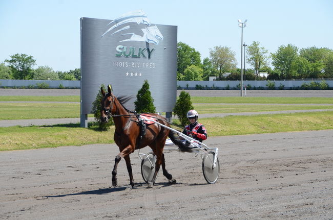 Les chevaux de retour dès septembre à l’hippodrome