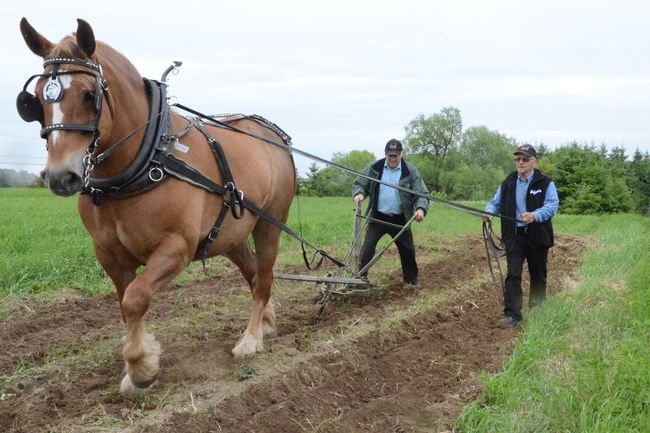 Retour dans le passé pour l’agriculture