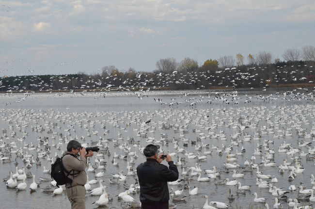 Les Centricois comme les touristes peuvent admirer les oiseaux migrateurs sur les berges du réservoir Beaudet.