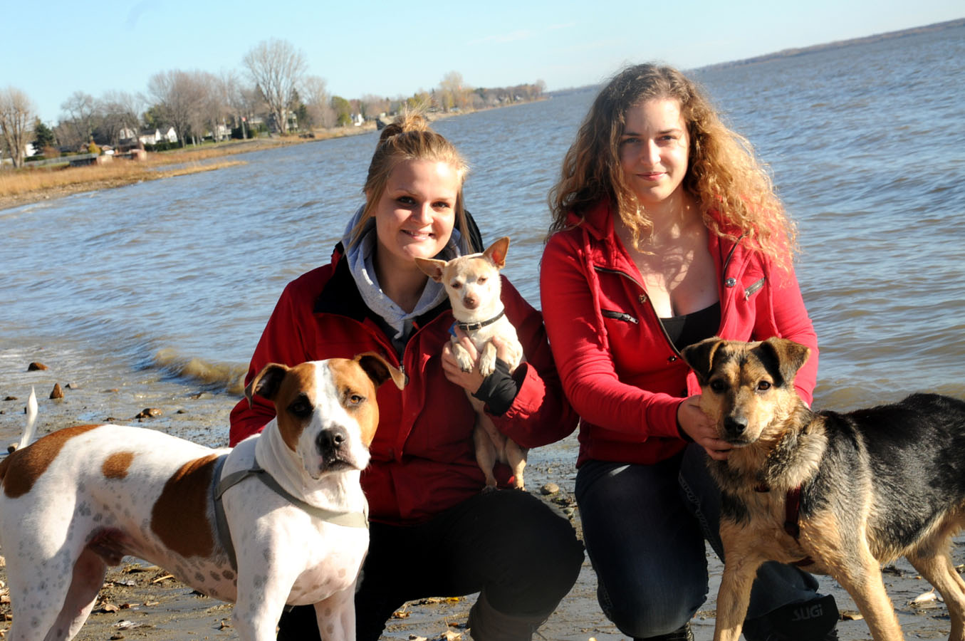 Bilou, Sarah-Gabrielle Fortin-Morand, Chico, Solveil Beaulieu-Hudon et Hoffin.