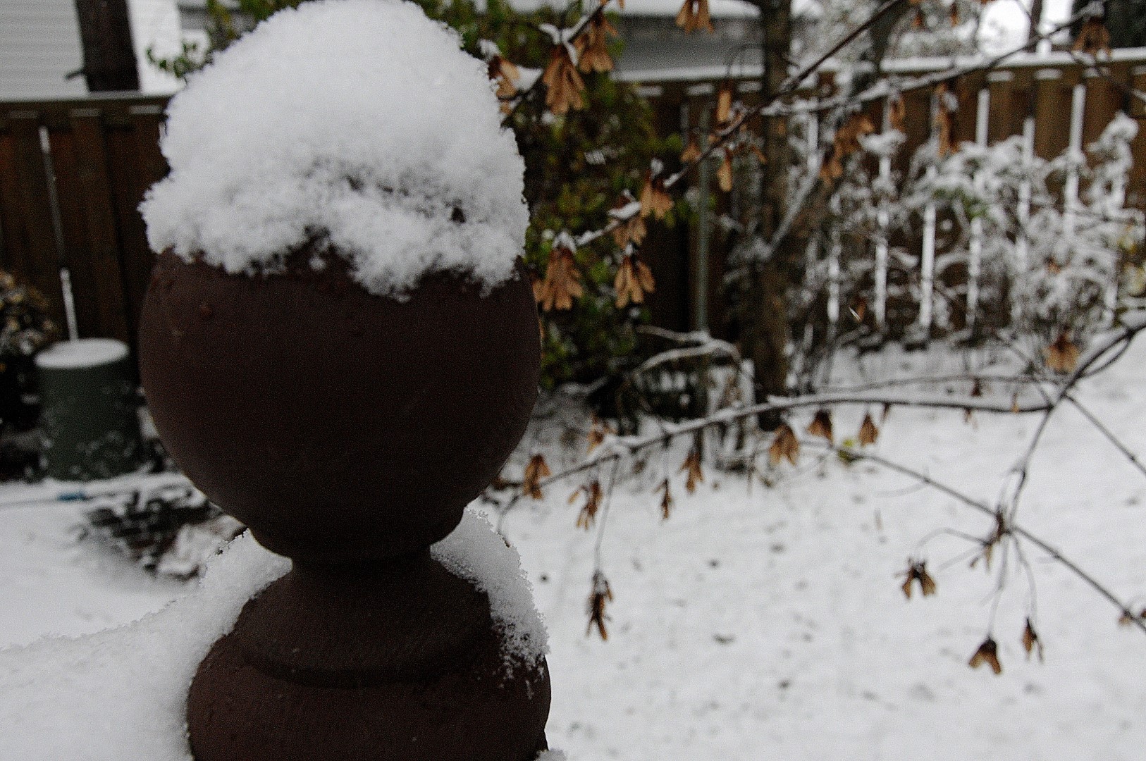 Des premiers flocons aux chutes de neige !