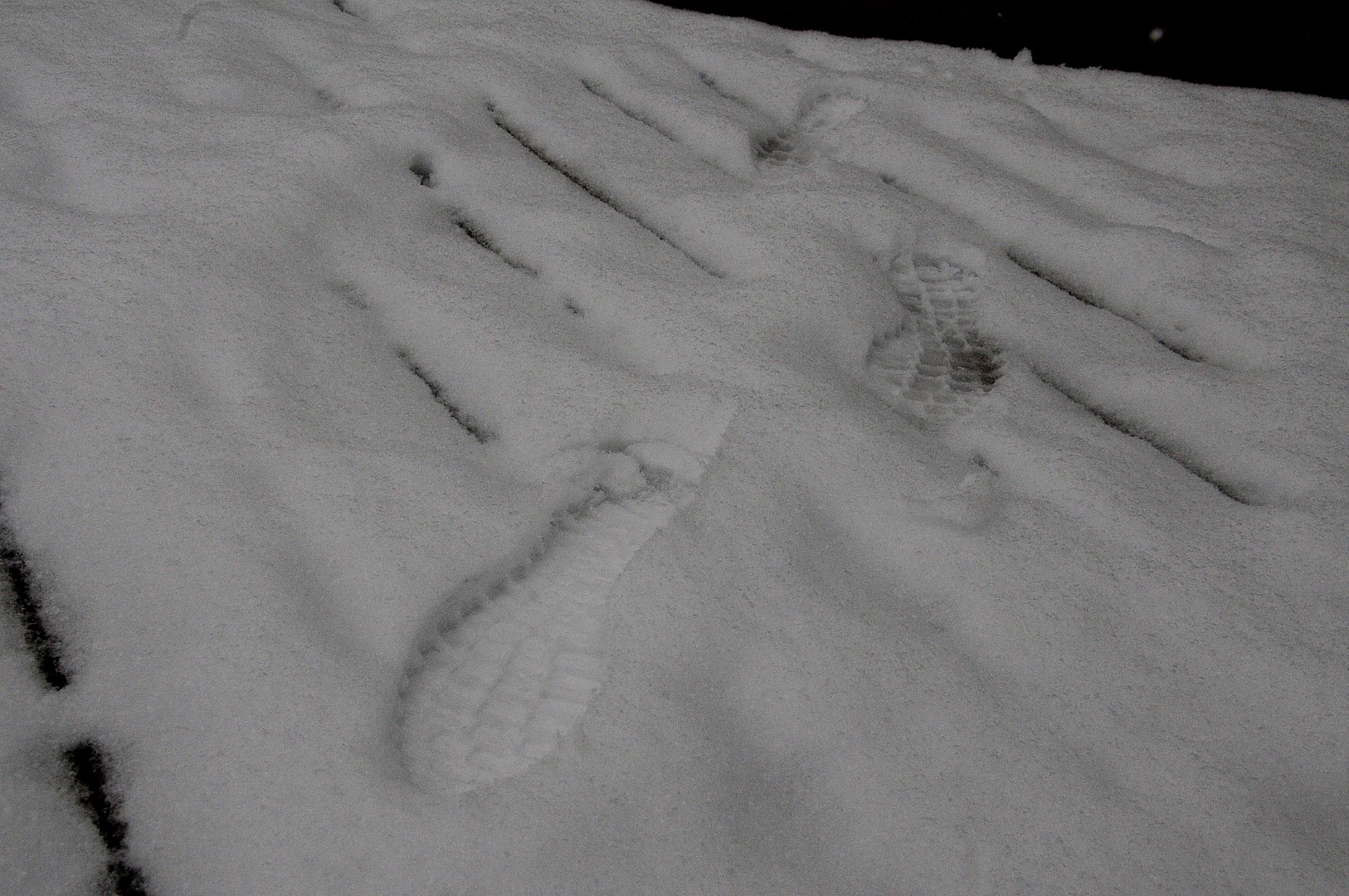 Des premiers flocons aux chutes de neige !