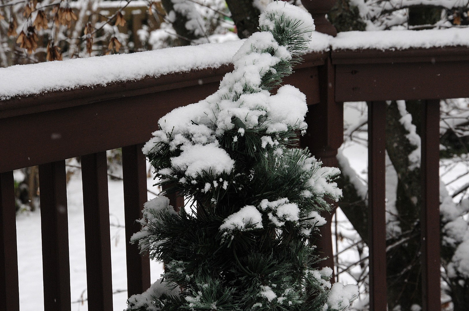 Des premiers flocons aux chutes de neige !