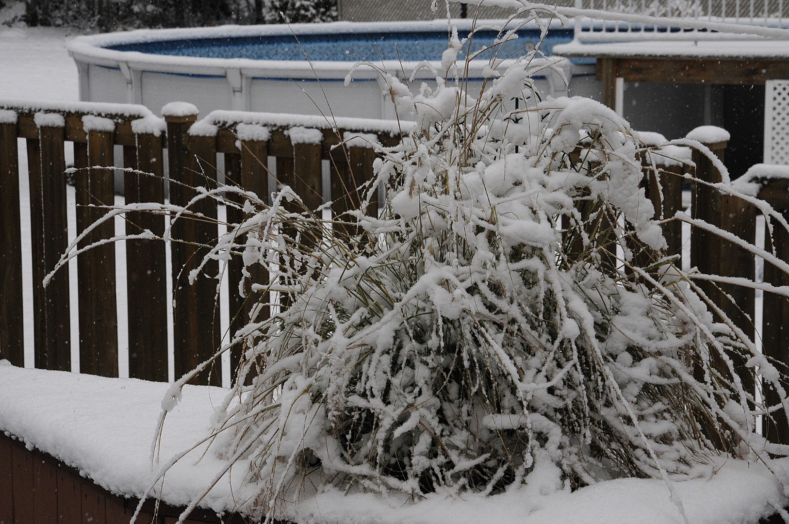 Des premiers flocons aux chutes de neige !