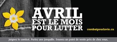 Plus de 51 000 jonquilles seront en vente en Mauricie