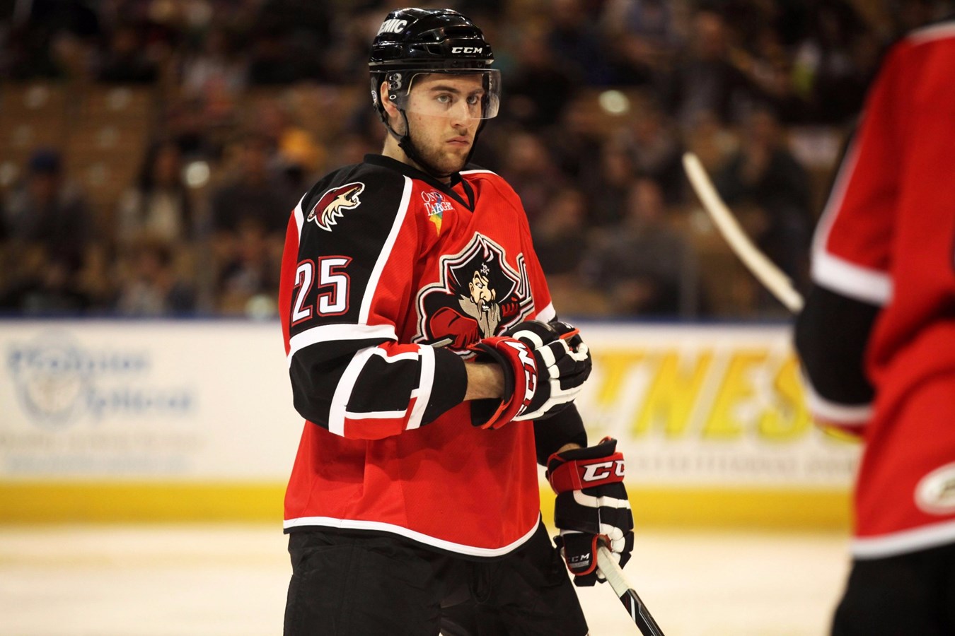 Kevin Gadoury et les droits de Mathieu Brisebois avec le Blizzard
