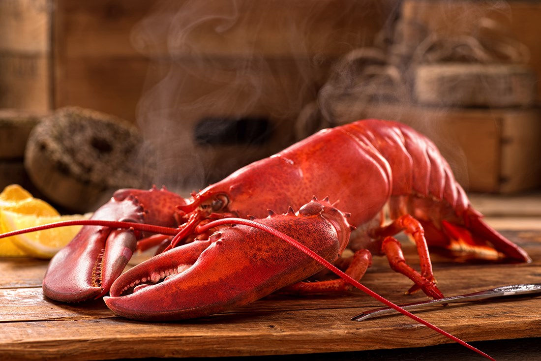 Souper aux homards 2017 de la Maison Grandi-Ose