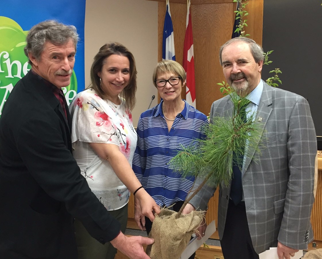 La journée familiale par excellence : 12e édition de la journée de l’arbre à Bécancour