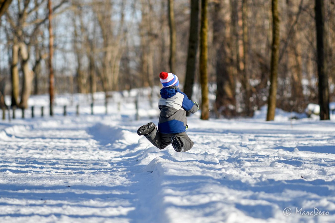 Préparez-vous à vivre l’hiver au Parc de l’île Saint-Quentin!