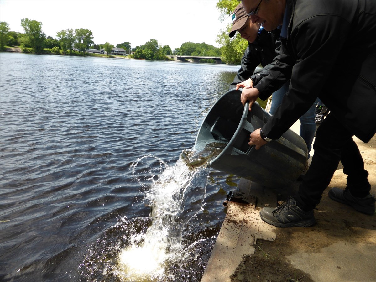 Des pêcheurs en herbe à l’action