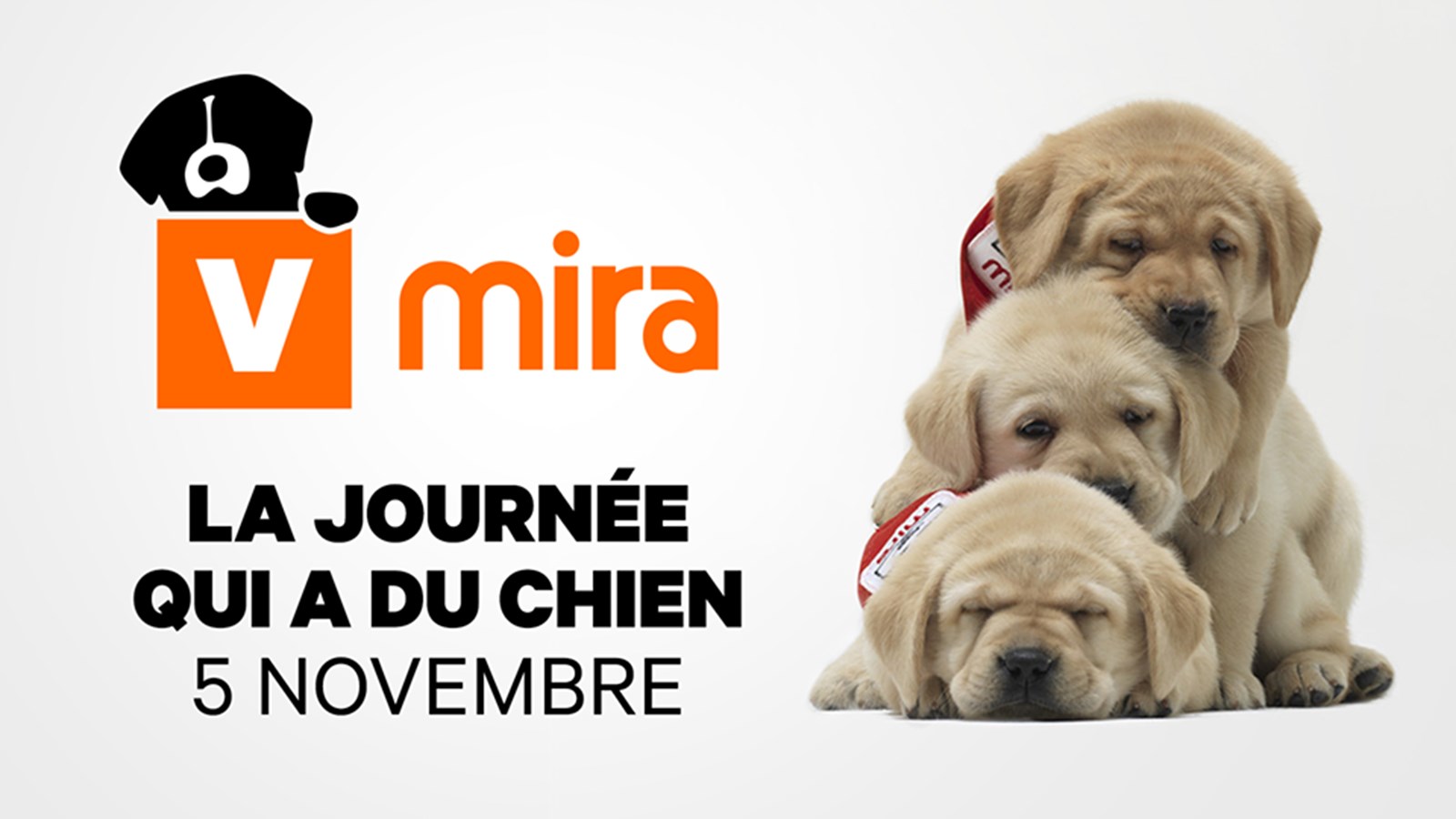 La Tournée qui a du chien de la Fondation Mira sera dans la région le 5 novembre