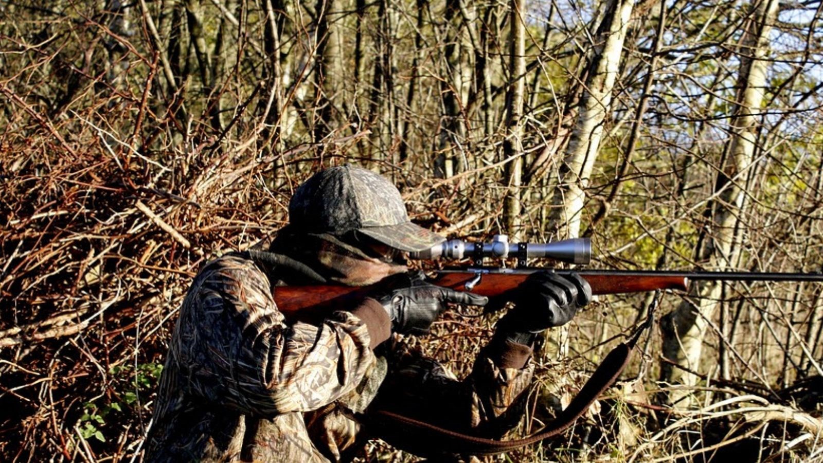 La Sûreté du Québec rappelle quelques conseils de sécurité pour la saison de chasse qui débute