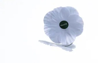 Porter le coquelicot blanc, une initiative du Comité de solidarité en souvenir des victimes civiles et militaires des guerres