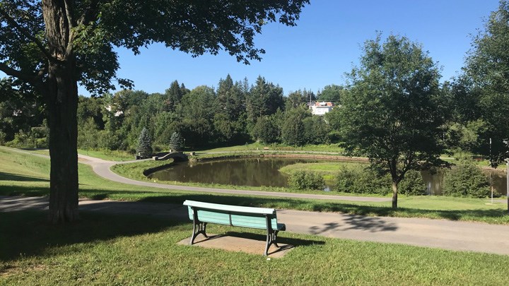 Les projets d'arboretum et la revitalisation de l'artère commerciale de la 105e rue adoptés