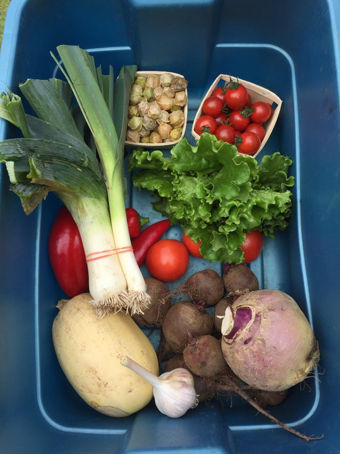 235 paniers de légumes bio et locaux pour les familles de l’école Louis-de-France