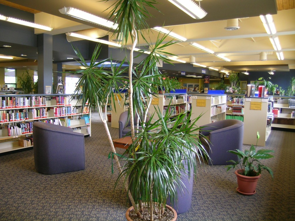 De nouveaux tarifs dans les bibliothèques de Shawinigan