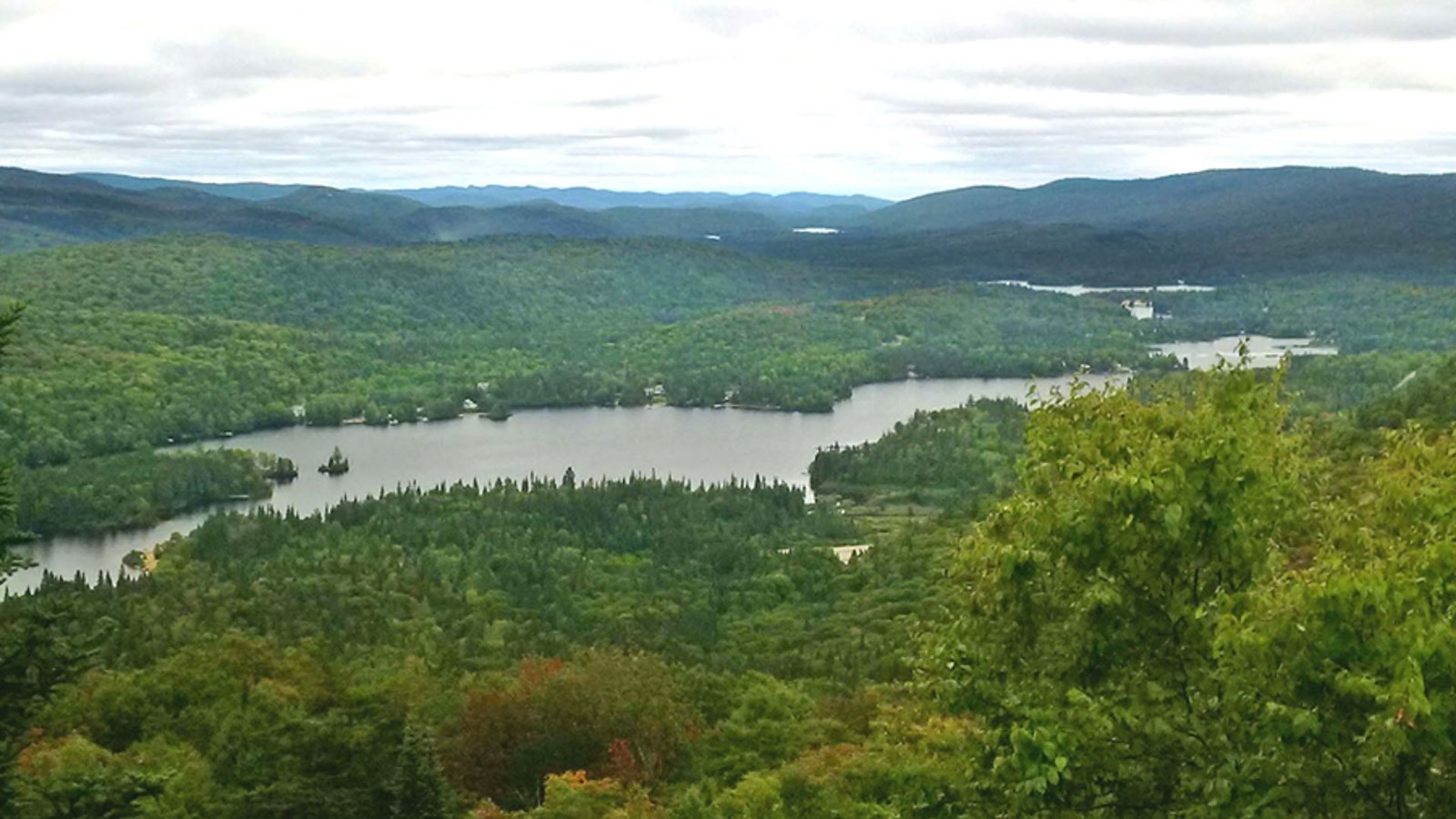 Nature Québec demande la réouverture des parcs nationaux