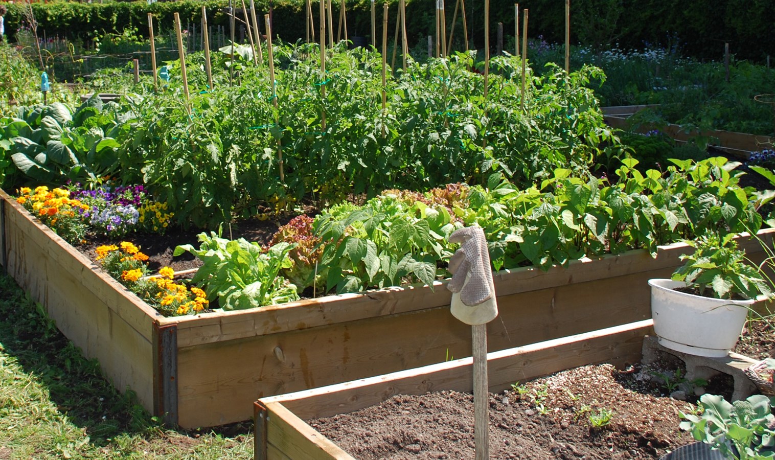 Bécancour rouvre son jardin communautaire le 11 mai