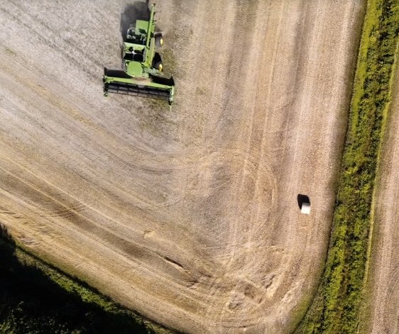 Le Roépam publie une capsule vidéo choc pour une relance économique verte