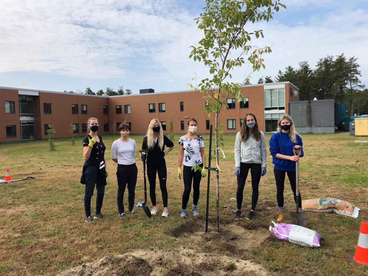 Plantation au CHSLD Roland Leclerc, à Trois-Rivières.