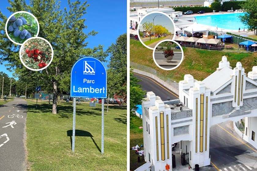 À gauche, le projet pilote de plantation d'arbres, d'arbustes fruitiers et végétaux comestibles vivaces sur le territoire du parc Lambert. À droite, le projet consiste en l'aménagement d'une partie des terrains du parc de l'Exposition pour rendre le site plus accueillant et accessible.