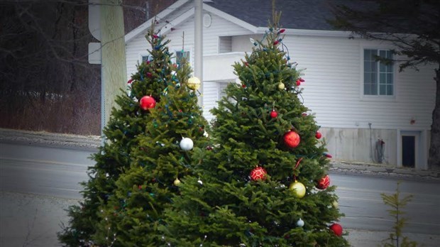 Shawinigan interpelle les acheteurs de sapins naturels