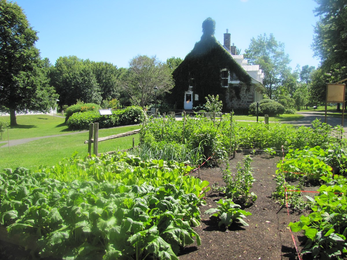 Une conférence gratuite pour réaliser un potager patrimonial