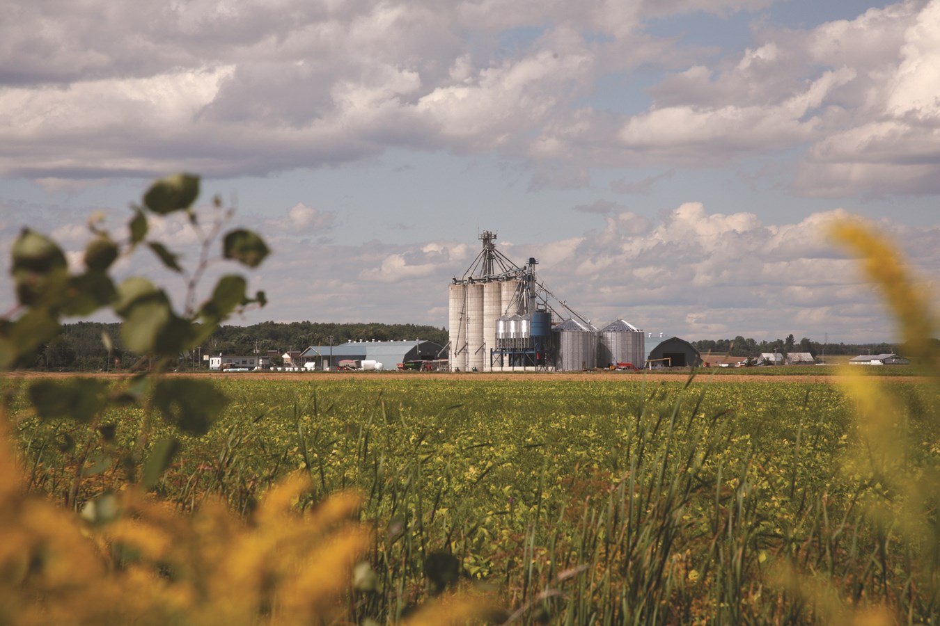 Novago Coopérative acquiert l’entreprise Frigon de Louiseville