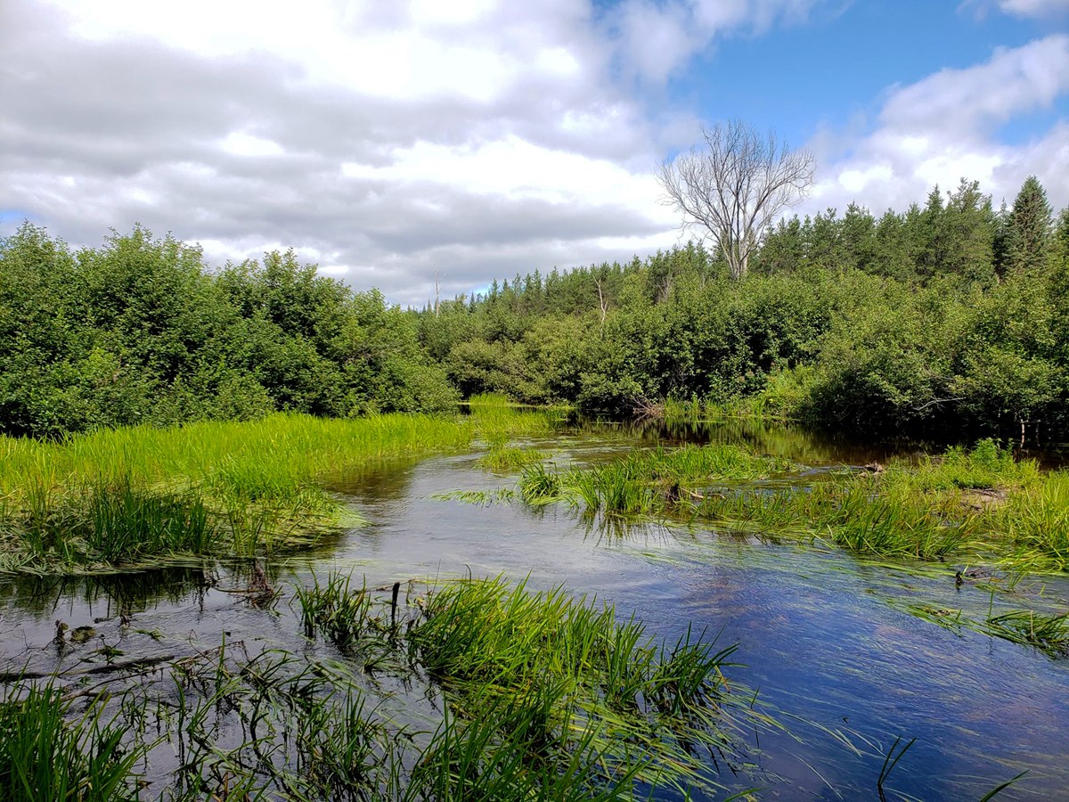 La rivière aux Écorces à Saint-Alexis-des-Monts.