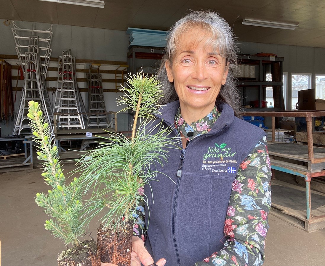 Dans le cadre du Mois de l’arbre et des forêts, la députée tient à offrir, à chaque famille touchée par un décès, un petit arbre qui pourra être planté à l’endroit de son choix.