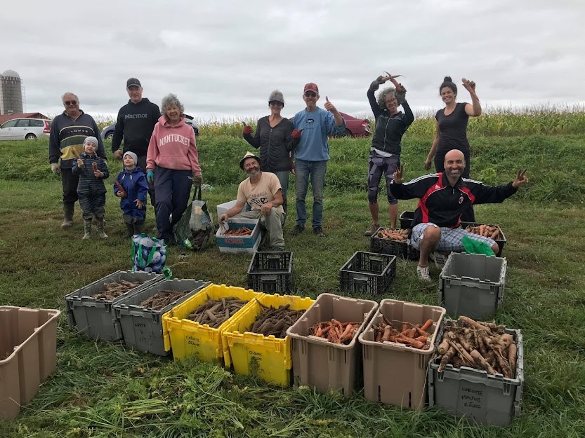 Glanage en Mauricie : 22 000 kilos de fruits et de légumes recueillis