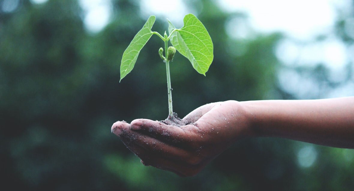 Des nouveaux outils offerts aux PME d’ici pour réduire leur empreinte environnementale