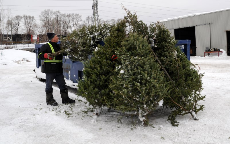 Collecte de sapins naturels : Shawinigan rappelle la date limite pour s’inscrire