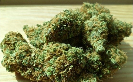 Vente de cannabis illicite : un individu arrêté après 2 perquisitions